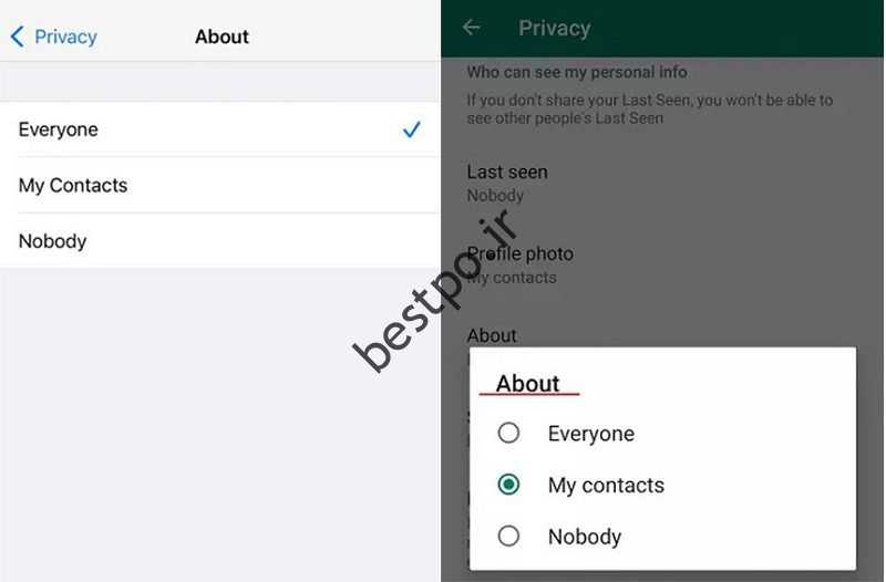 درباره تنظیمات حریم خصوصی در WhatsApp